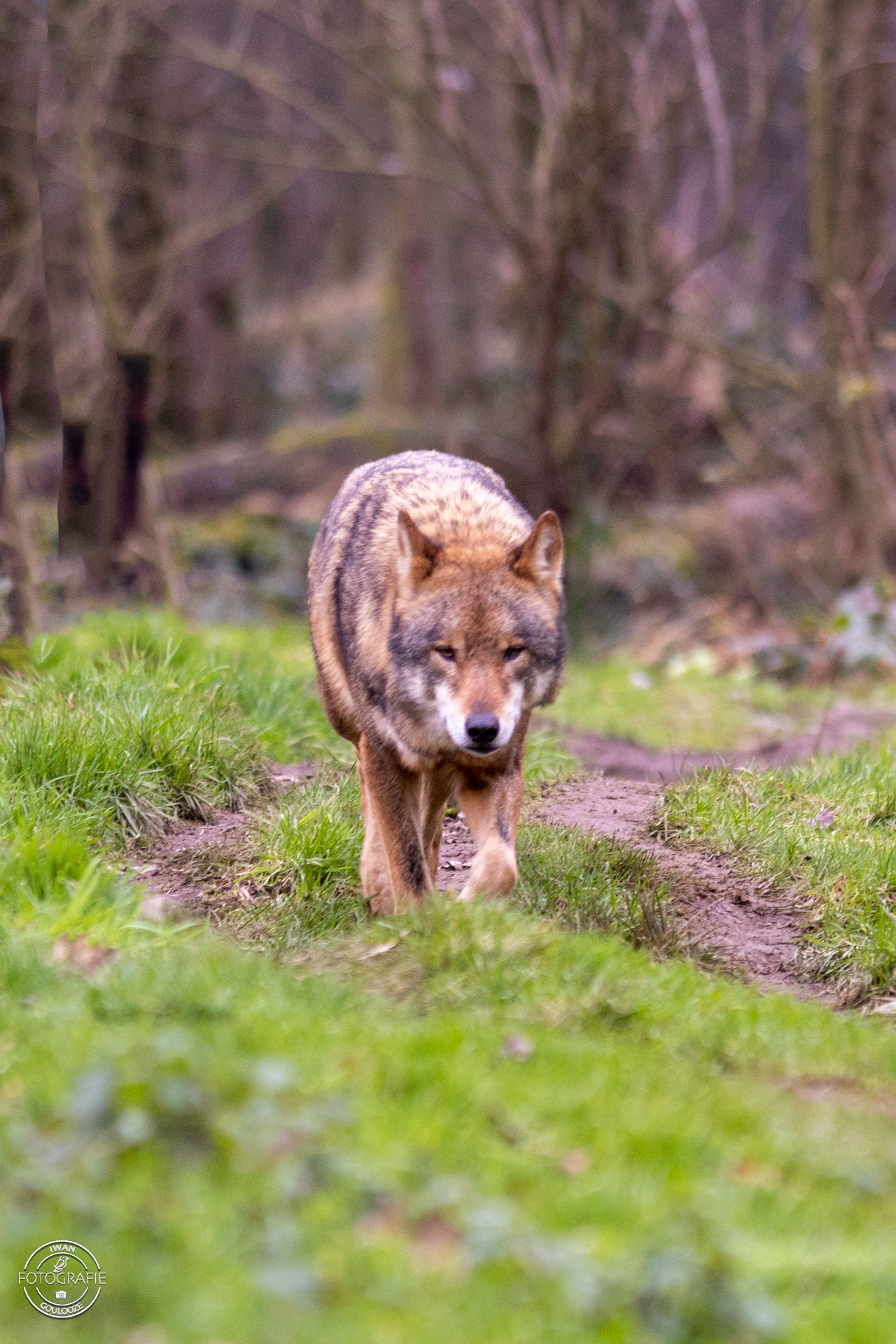 28 januari 2023 124248 1R2A7406